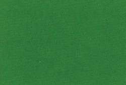 Peinture acrylique TALENS Art Creation, 750 ml, Vert permanent clair