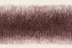 Crayons Coloursoft Derwent, Mûre de Logan