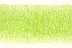 Crayons Coloursoft Derwent, Vert clair