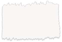 Aquarelle fine AKADEMIE® SCHMINCKE, demi-godet, Blanc couvrant