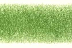 Crayons Coloursoft Derwent, Vert pois