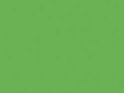 Encre standard pour linogravure, couleurs fluo, 300 ml, Vert fluo