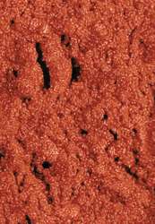 Pigments purs SENNELIER, Ocre rouge 90g