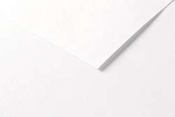 Papiers de couleurs bricolage CLAIREFONTAINE TULIPE, Feuille, 50 cm x 65 cm, blanc