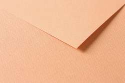 Papiers de couleurs bricolage CLAIREFONTAINE TULIPE, Feuille, 50 cm x 65 cm, saumon