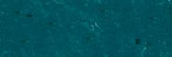 Bleu nuit 770