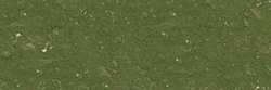 Gris vert mousse 169
