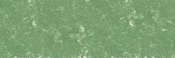 Gris vert mousse 172