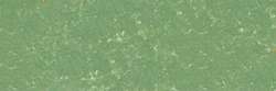 Gris vert mousse 173