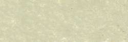 Gris vert mousse 174