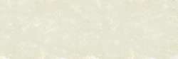 Gris vert mousse 176