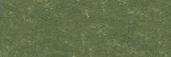 Gris vert réséda 213