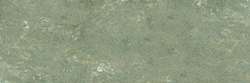Gris vert réséda 214