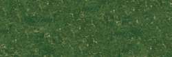 Vert olive 237