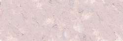 Violet van Dyck 409