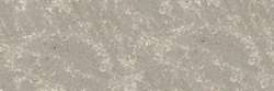 Gris souris 404