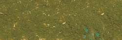 Vert vermillon 751