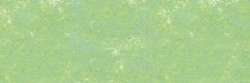 Vert sapin 916