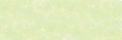 Vert sapin 918