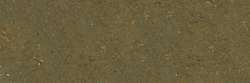 Vert bronze foncé 160