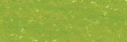 Vert feuille 203