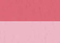 Encre acrylique abstract® SENNELIER, 30 ml, Rose de Venise