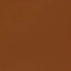 Gouache acrylique LIQUITEX®, 59 ml, Terre de Sienne naturelle