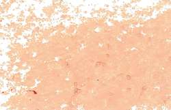 Pastel à l'huile JAXON®, 68 mm - diamètre 10 mm, Rose saumon