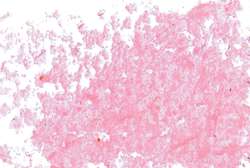 Pastel à l'huile JAXON® 1000, diam. 18 mm, Rose de garance