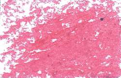 JAXON® 1000 Ölpastellkreiden, Einzelkreiden, Einzelkreiden d 18 mm, Carmesin