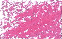 JAXON® Ölpastellkreiden Einzelkreiden, Ölpastellkreide, Kaltrosa