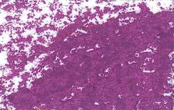 Pastel à l'huile JAXON®, 68 mm - diamètre 10 mm, Laque carmin