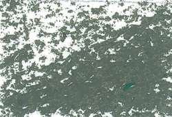 JAXON® Ölpastellkreiden Einzelkreiden, Ölpastellkreide, Graugrün