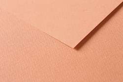 Papiers de couleurs bricolage CLAIREFONTAINE TULIPE, Feuille, 50 cm x 65 cm, rouille