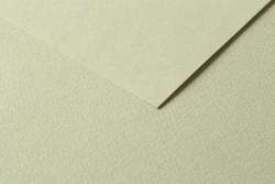 Papiers de couleurs bricolage CLAIREFONTAINE TULIPE, Feuille, 50 cm x 65 cm, vert tilleul