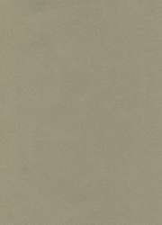 Papier cuve pastel Hahnemühle The Collection Ingres, Paquet de 10 feuilles, 48 cm x 62,5 cm, Gris