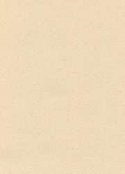 Papier cuve pastel Hahnemühle The Collection Ingres, Paquet de 10 feuilles, 48 cm x 62,5 cm, Rose