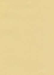 Papier cuve pastel Hahnemühle The Collection Ingres, Paquet de 10 feuilles, 48 cm x 62,5 cm, Couleur contour