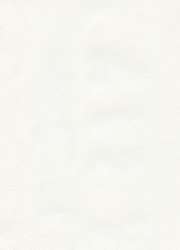 Papier cuve pastel Hahnemühle The Collection Ingres, Paquet de 10 feuilles, 48 cm x 62,5 cm, blanc