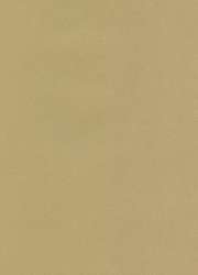 Papier cuve pastel Hahnemühle The Collection Ingres, Paquet de 10 feuilles, 48 cm x 62,5 cm, Gris sable