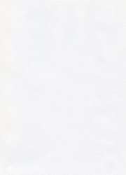 Hahnemühle The Collection Ingres Pastel Echt-Bütten, 10 Bogen, Packung mit 10 Bogen, Hellweiß