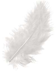 Plumes pour décorer, 15 pces, Blanc