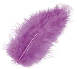 Federn, bunt, 15-Stück-Beutel, Violett