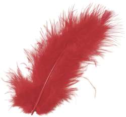 Plumes pour décorer, 15 pces, Rouge