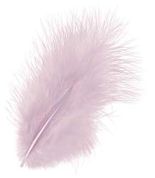 Plumes pour décorer, 15 pces, Rose