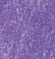 Crayons de couleur Rembrandt Polycolor, violet foncé