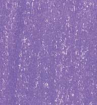Crayons de couleur Rembrandt Polycolor, Violet