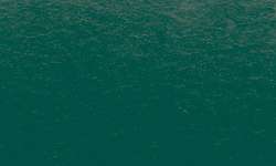 Pinceau d´encre Ink Brush Sennelier, Vert sapin