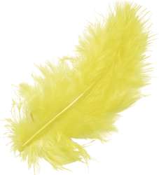Plumes pour décorer, 15 pces, Jaune