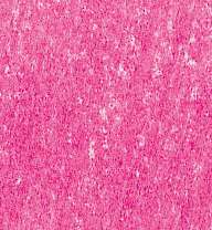 Crayons de couleur Rembrandt Polycolor, Rose pourpre